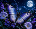 Breathtaking Butterflies #11 – "Moonlight Wings"
