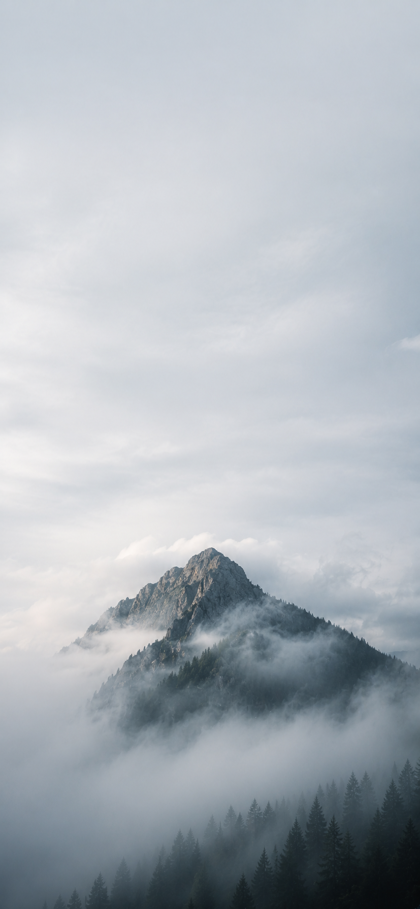 Quiet Rain #14 – "Above the Mist"
