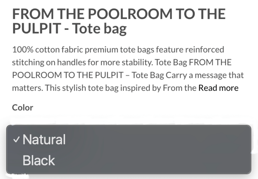 🎱 From the Poolroom to the Pulpit — Official Merchandise